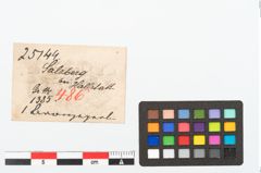 Etikett zu Bronzeringperle (NHMW-PRAE-025144)